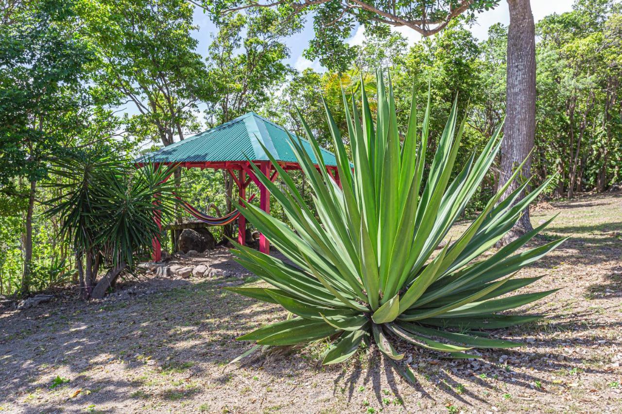 Villas Ti Creole Nogent Sainte-Rose Exteriér fotografie