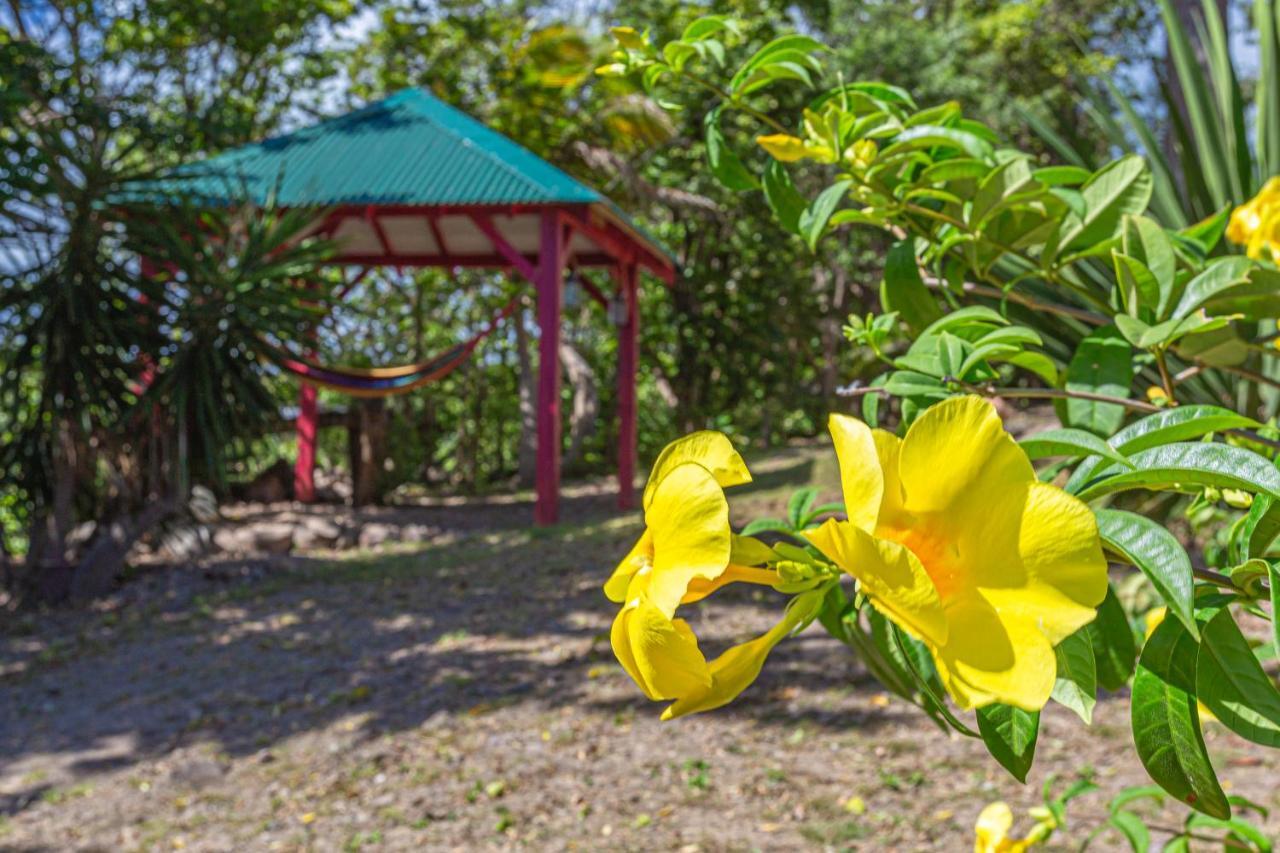 Villas Ti Creole Nogent Sainte-Rose Exteriér fotografie